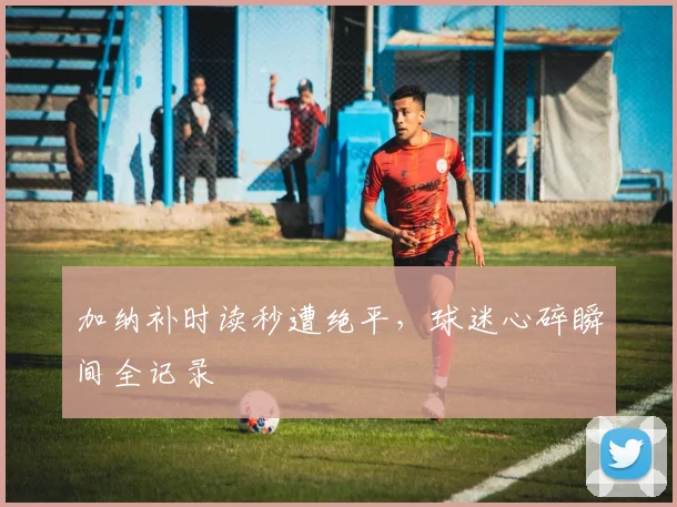 加纳补时读秒遭绝平，球迷心碎瞬间全记录