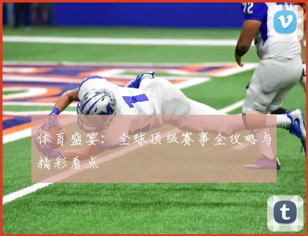 体育盛宴：全球顶级赛事全攻略与精彩看点
